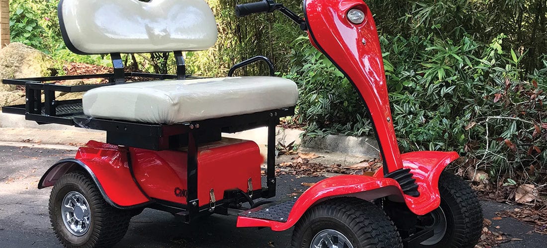 cricket-mini-golf-cart-scooter-ESV