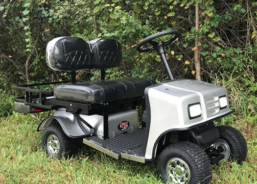 silver-sx3-cricket-golf-cart