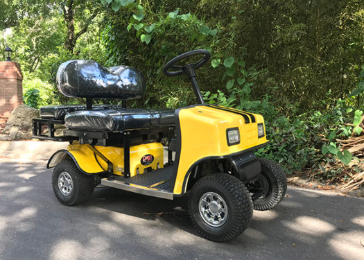 yellow-sx3-cricket-mini-cart