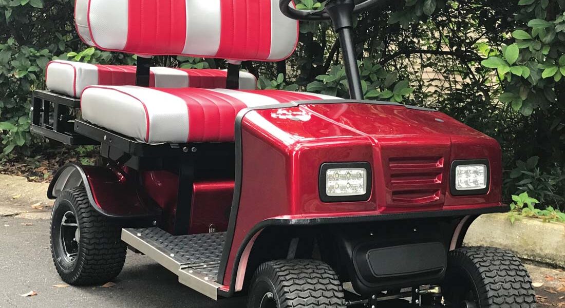 electric-mini-golf-cart-SX3-cricket