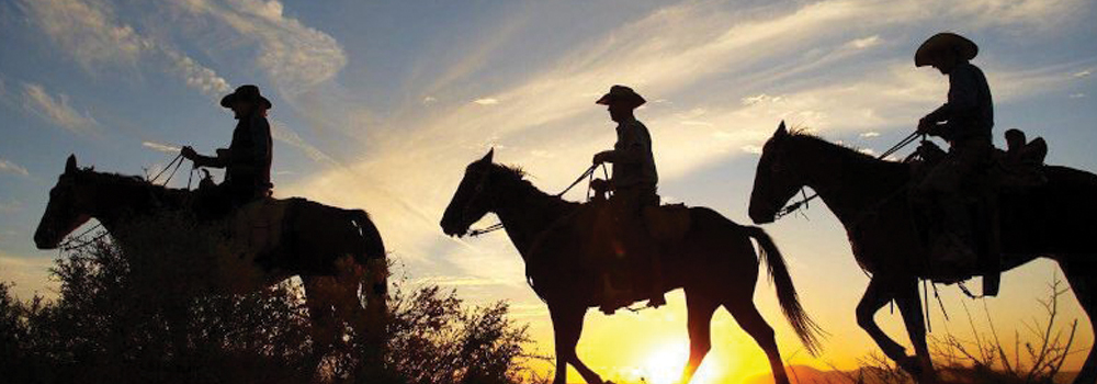 idaho-cricket-mini-golf-carts-equestrian-arenas-camping-horses