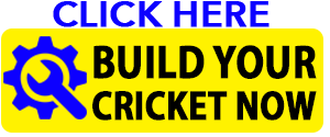 build-your-cricket-cart-daytona-beach